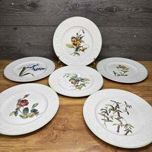 Spode England Copeland Wildflowers Embossed 9.25" Luncheon Plate Green Rim~6 Pc